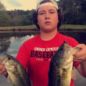 Meet your Posher, Bennett